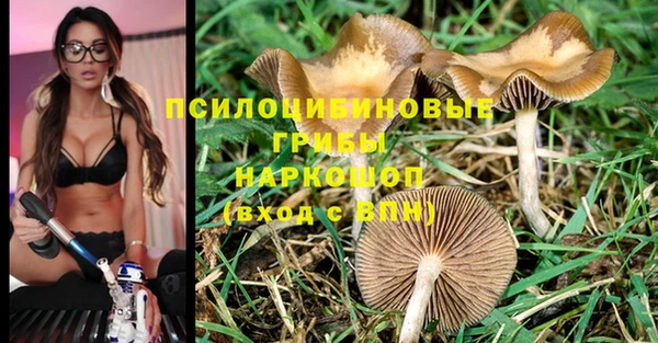 скорость Арсеньев