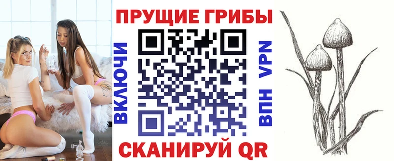 купить наркотики цена Новомосковск Галлюциногенные грибы прущие грибы